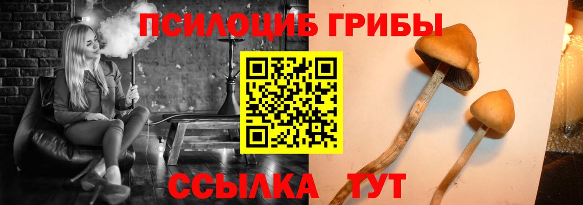 Надым  Галлюциногенные грибы ЛСД  Вход с VPN 